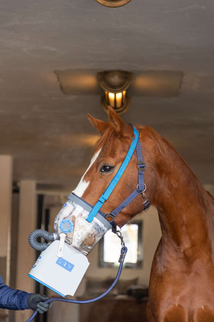 hippomed Akku-Ultraschall-Inhalator für Pferde AirOne Flex